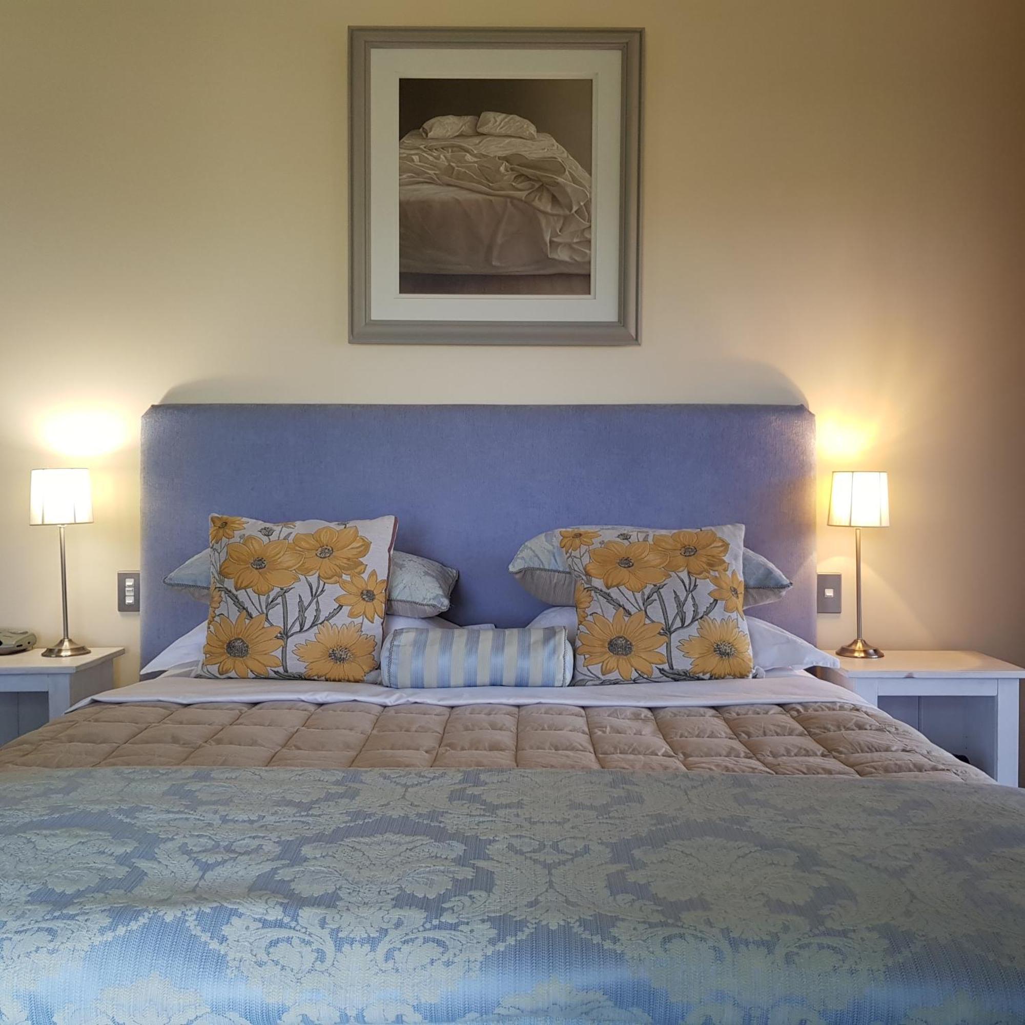 Hawkdun Rise Vineyard & Accommodation Alexandra Luaran gambar