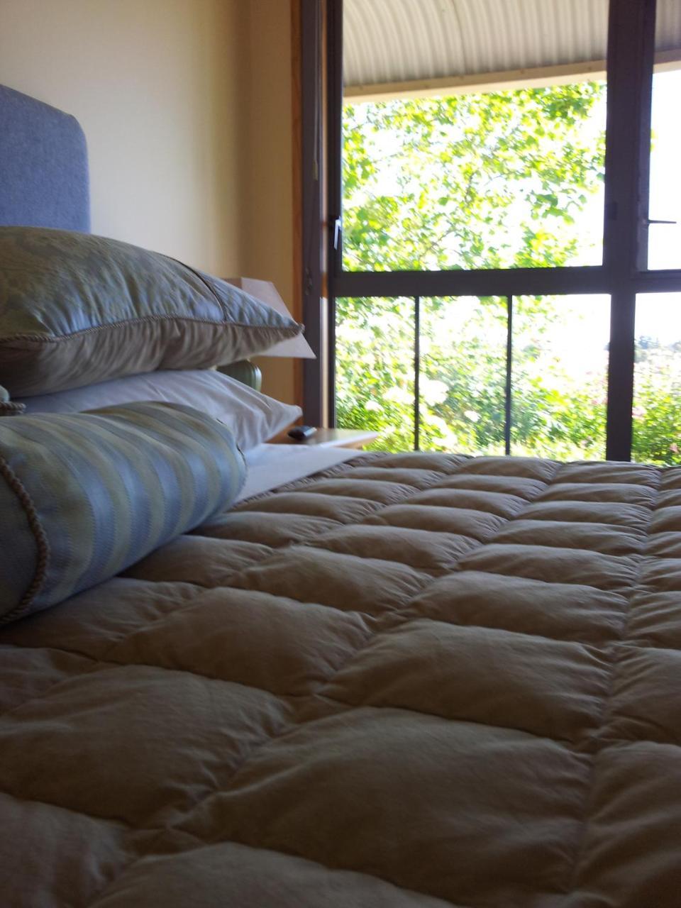 Hawkdun Rise Vineyard & Accommodation Alexandra Luaran gambar
